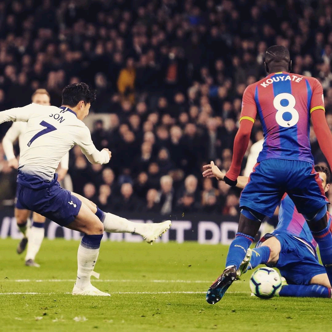 复苏才刚刚 复苏才刚刚